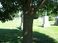 Chicago Ghost Hunters Group investigates Calvary Cemetery (66).JPG